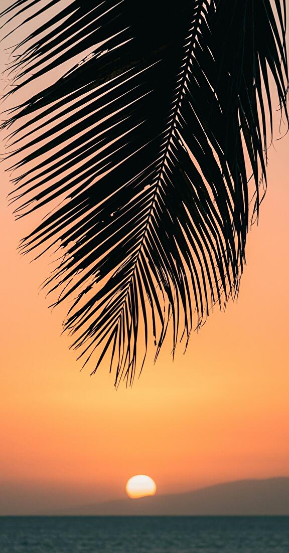 DTS OWF Hawaiian Islands